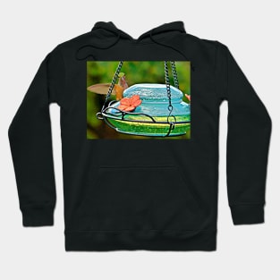 hummingbird landing Hoodie